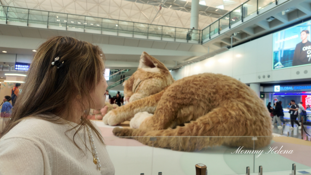 Giant Sleeping Cat at&nbsp;Hong Kong International Airport&nbsp;(Before It’s&nbsp;Gone!)